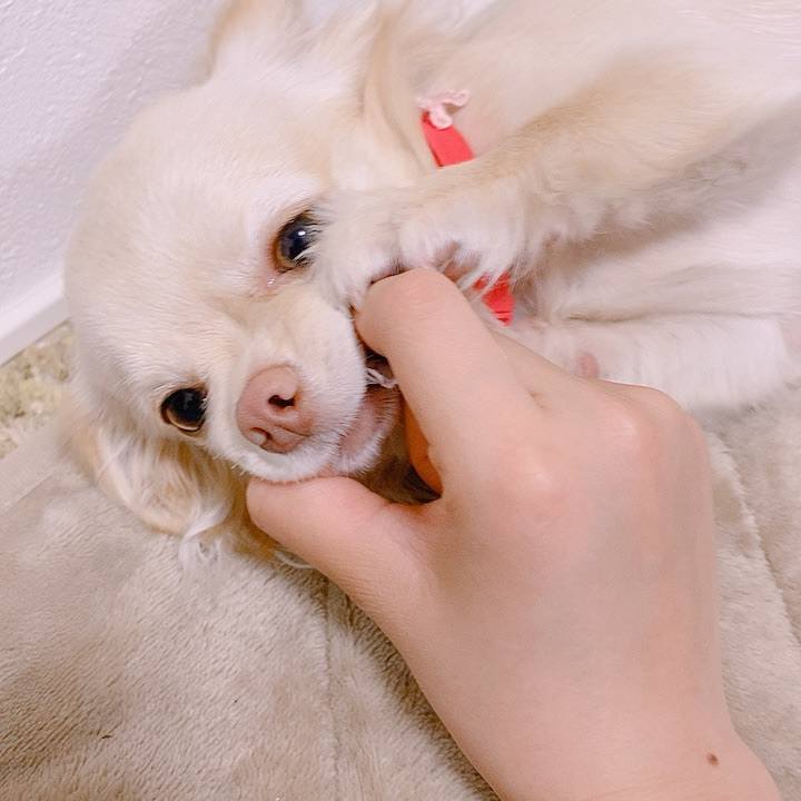 5307decf bffc 4030 9091 82f00a76f659 1617264988385