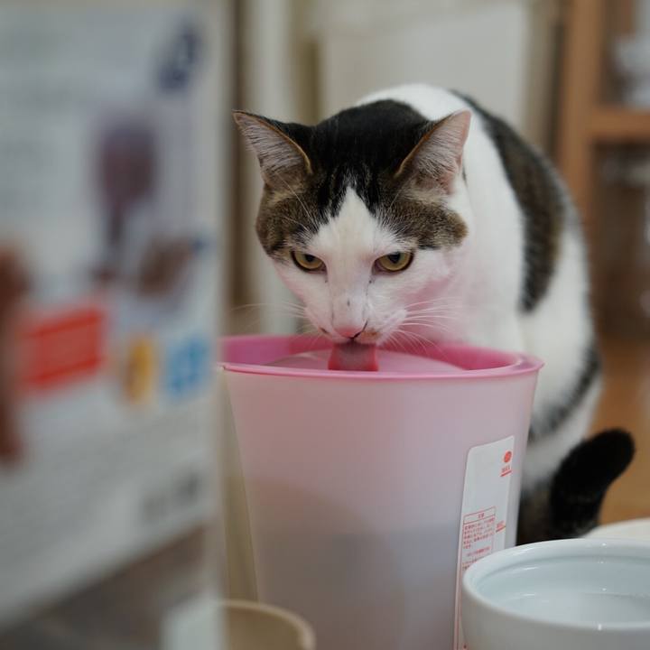 5307e100 1399 42b7 bdbe bce9ea17046d 1549933054526