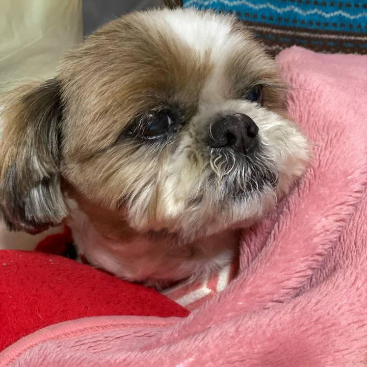 5307edaf ad63 4a2e b739 49f635a4191b 1619935308643