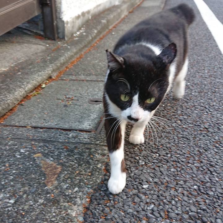 53082b05 01c8 47ae a037 5d607be406ef 1538894589665