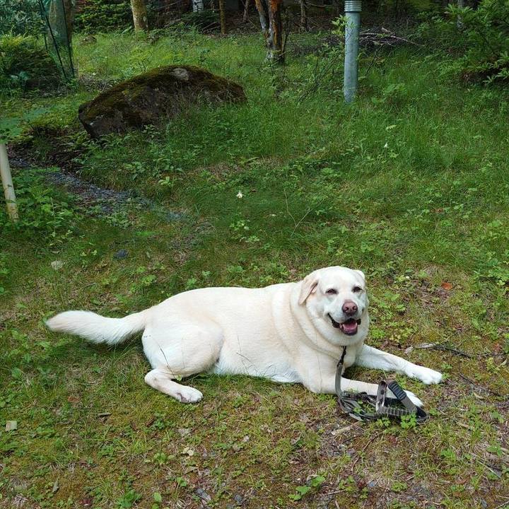 530863e3 ba69 4db8 850a 60fdf67b7825 1720574218213