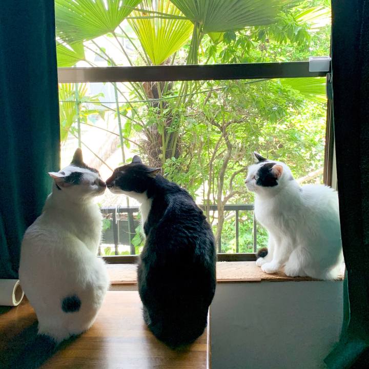 53086cc3 b148 4fbb 9a38 d2f66818eac3 1590623829156