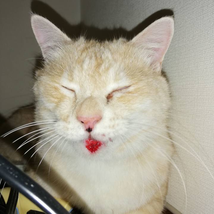 53086e92 0836 4d01 b3ec da26ae37475e 1715901423593