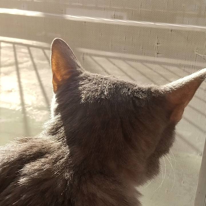 53087b3c adff 43c4 92d1 614fa197a284 1697497834795