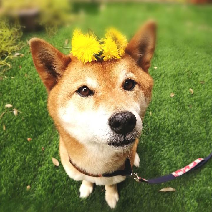 5308bd3d ef35 45e3 a4fb 1a50609793b5 1589331773371