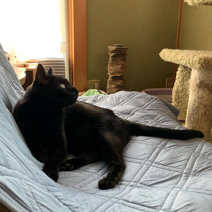 5308e373 0030 4e27 a54b 495e6f4242e3 1598146940495