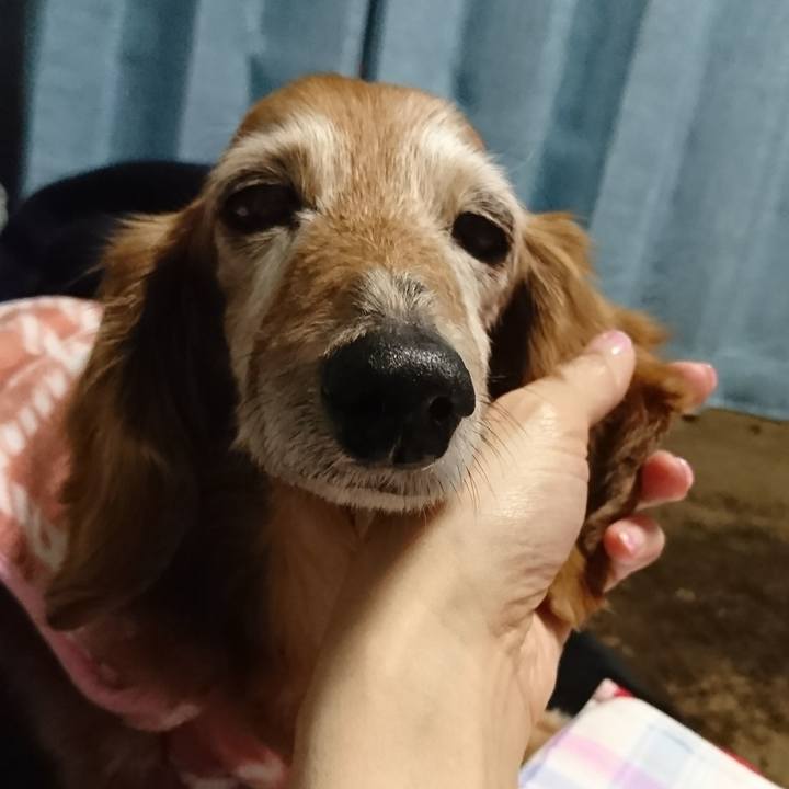 5308f798 b849 4f3f 993b a4c9303632f9 1518927393800