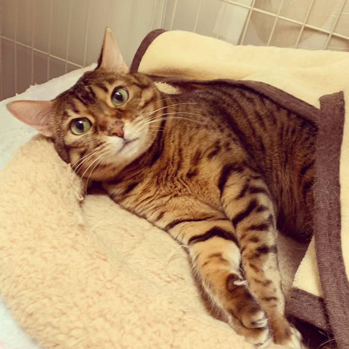 53093c18 9ac5 4a48 8a12 82c40199ae5d 1615414692538