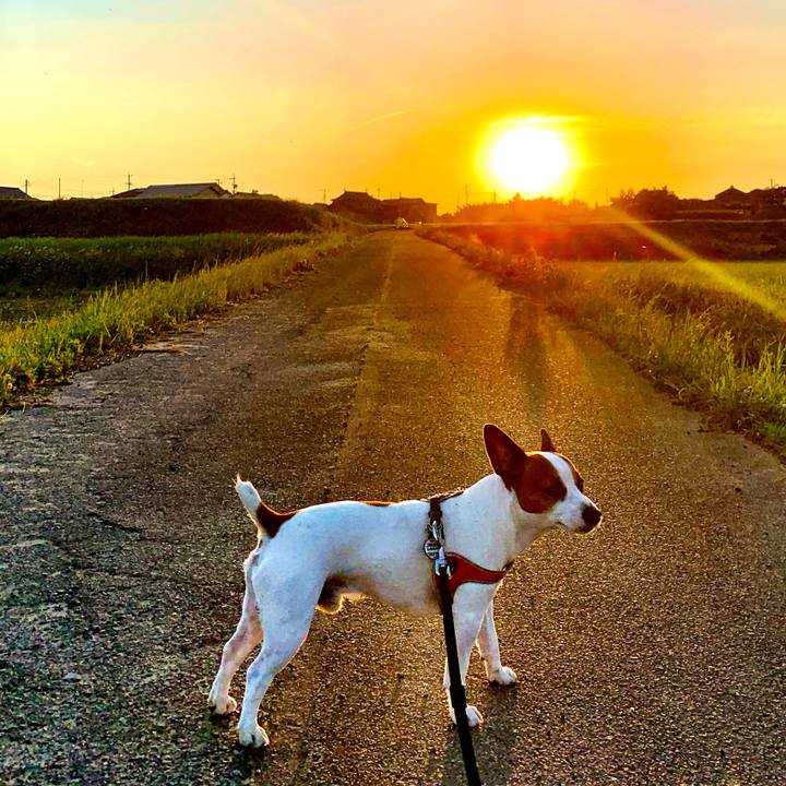 530942ee 14b0 4273 a94e e44c1e796831 1558615736762