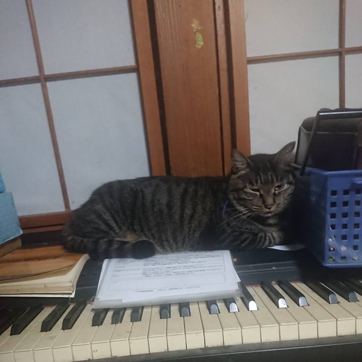 5309a048 d64f 4e90 b14c c8cbedbd2b1b 1660856655351