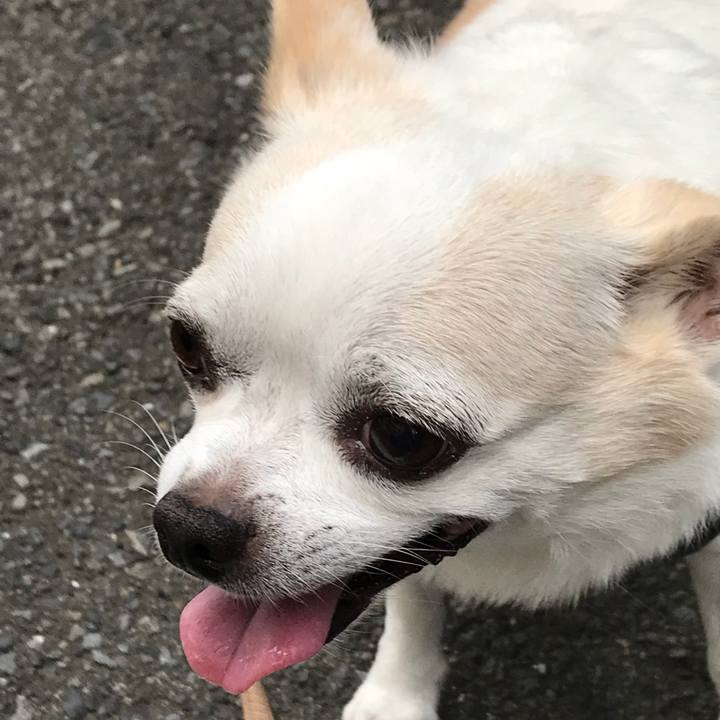 5309a0e4 df7c 4ebe ac44 dc405d76f372 1535464551397