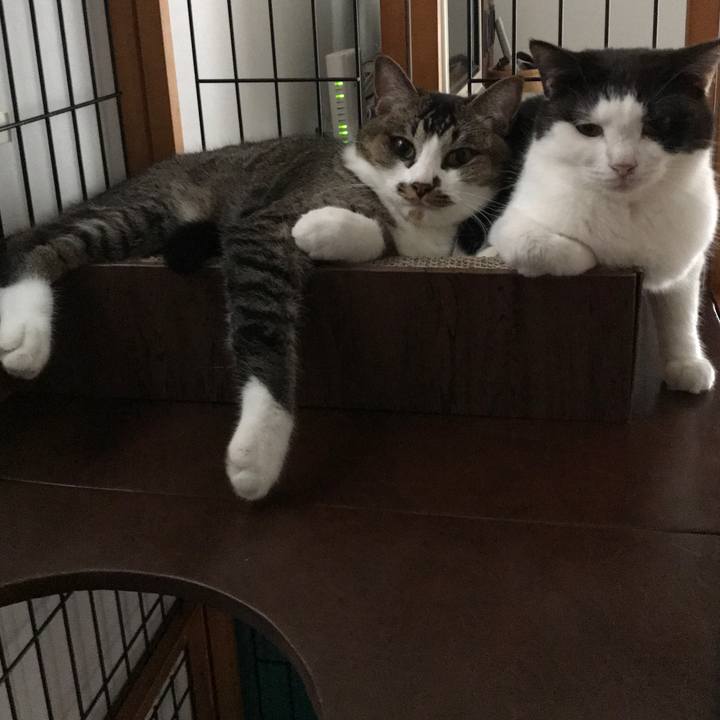 5309a2b4 b738 4351 adb2 ee137b491b1d 1627730518141