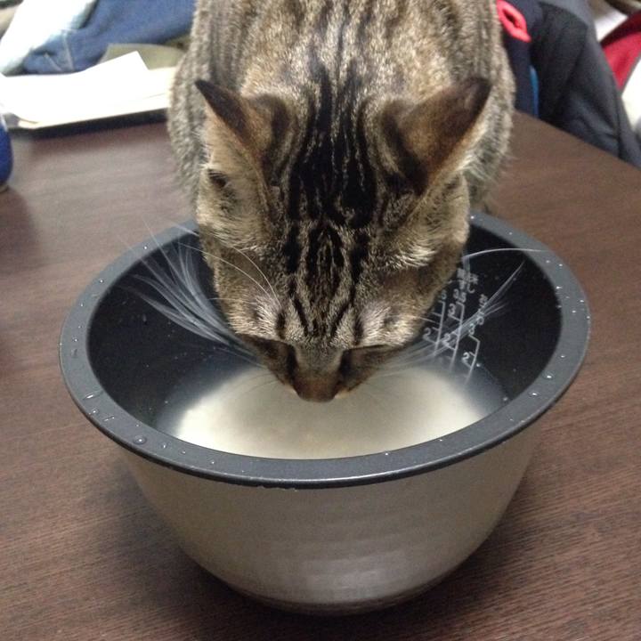 5309aad7 bdcc 4c1b b830 ba20fbe88396 1514309113538