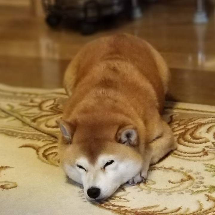 5309c93d e0bd 4b9b 9b01 0a58401761aa 1541204356194