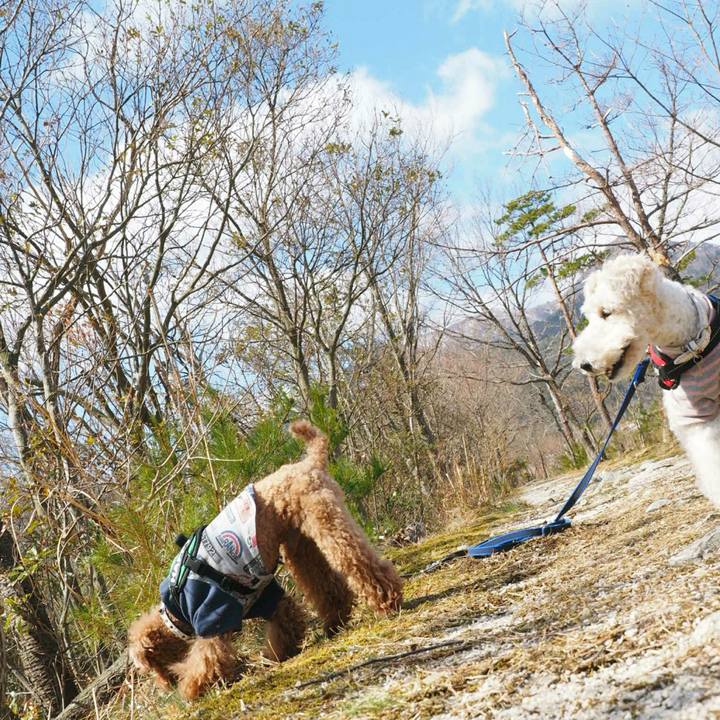 5309dccb a62e 4bdb a6b9 0c3cf2e5dd6f 1520666227671