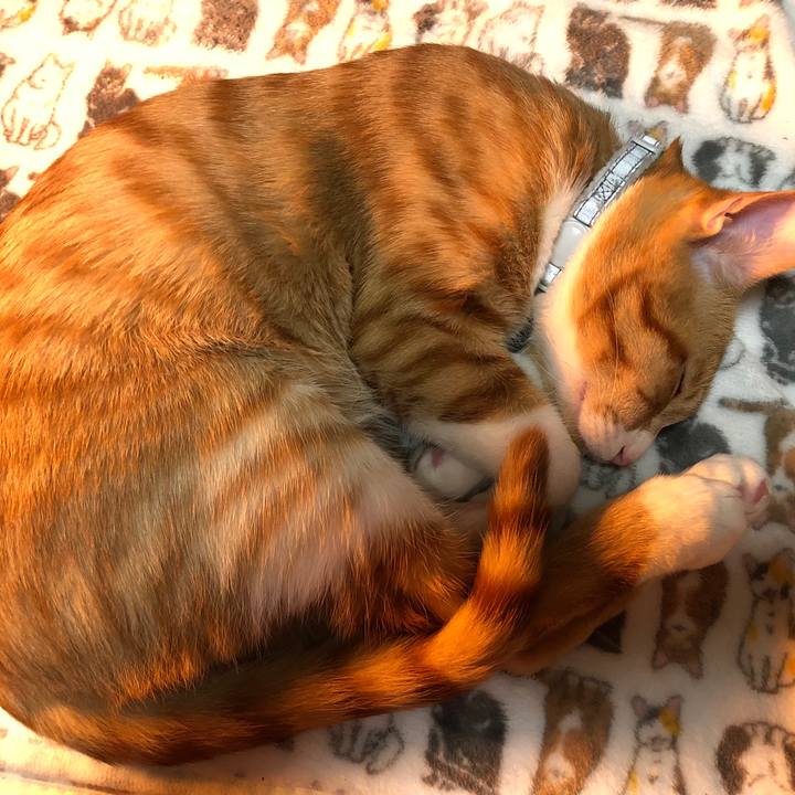 530a051f 3eb0 4cb9 9b1d 73dcf2f41bd2 1548508166856