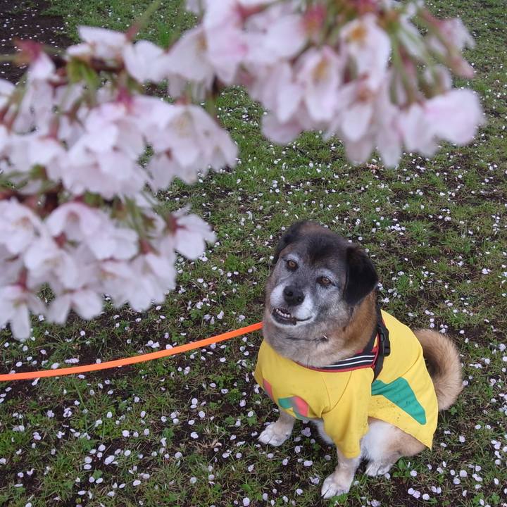 530a0e06 1b9b 4630 9ac7 cceda0f42e65 1602551620551