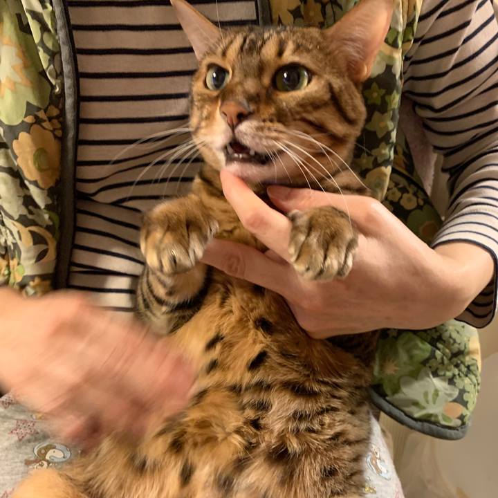 530a1628 8475 452a 815f 915a4942c48e 1572906665195