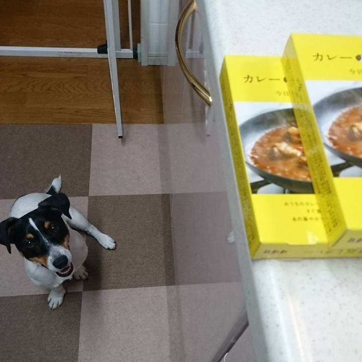 530a21fb 5ec3 4e90 bf64 b70230ddddc2 1556011002920