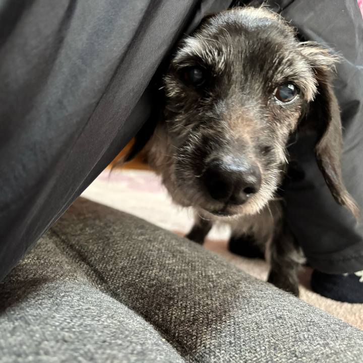 530a501b 7d53 4ed7 81be c283a60584f9 1765062620091