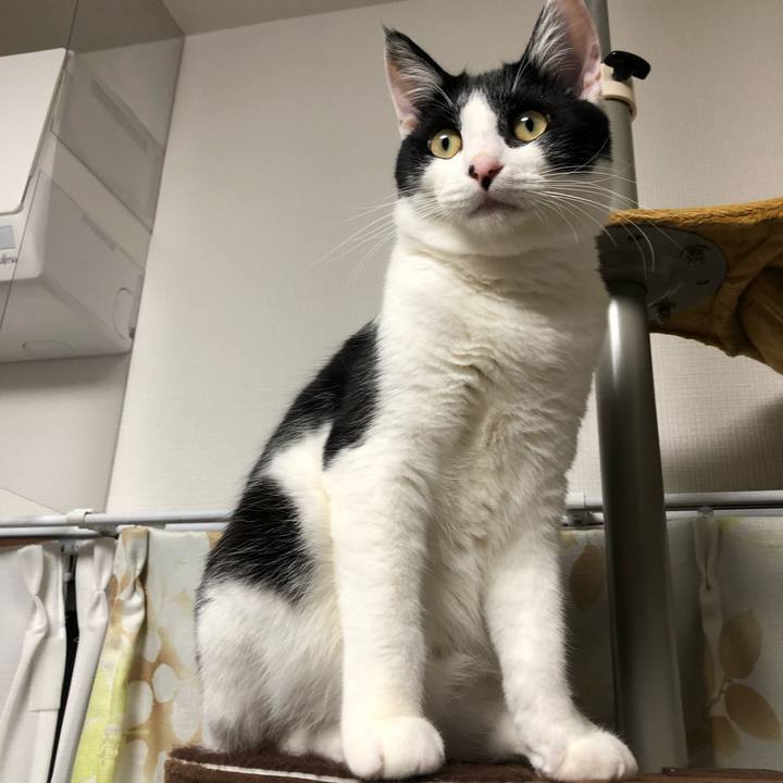 530a558f 6cf0 4924 8dbe 5c9182ee1736 1624545933392