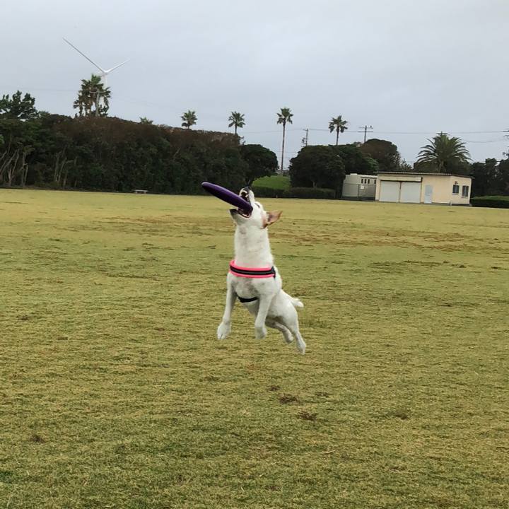 530a623f 5294 429a 9710 4825e19f89c7 1538815499503