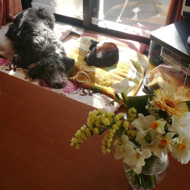 530a8e79 e569 4077 99c0 729e8646969a 1567765968769