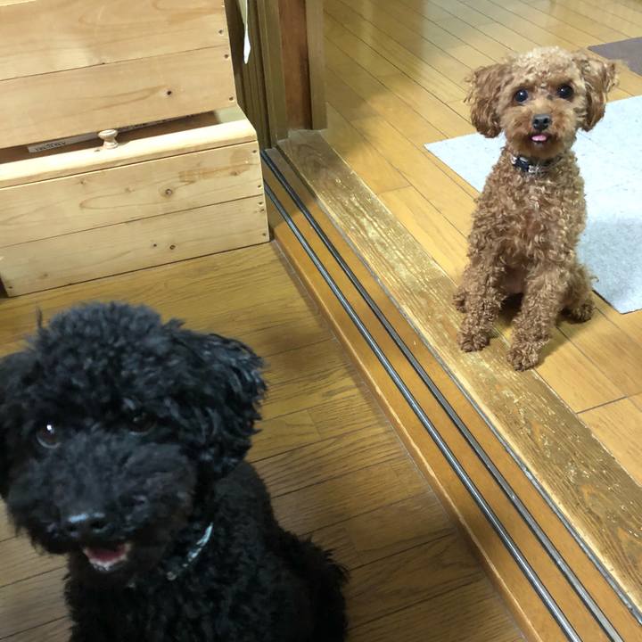 530ab2d5 872b 4229 afd9 3bc0abcc0758 1527762498055