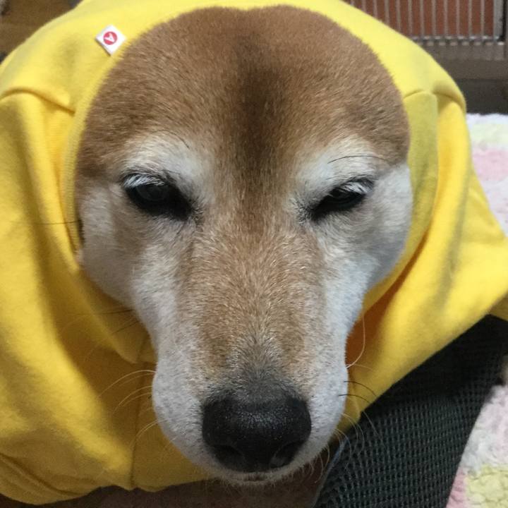 530adf34 2957 4ce5 86fb 9c856bd6df85 1608423155502