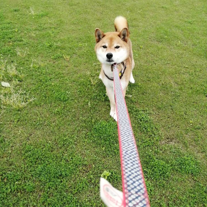 530ae948 7913 4226 8046 558883026fc4 1589967557593