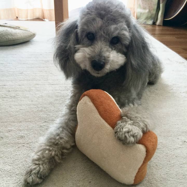 530b2a13 2b6a 405b a4c1 6443fa875901 1765154672848