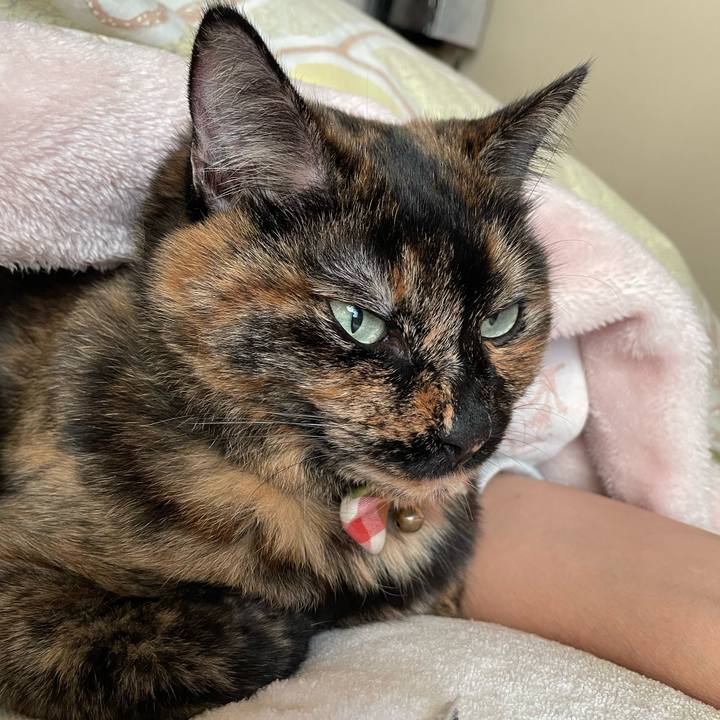 530b9657 8fb6 4f79 9cf1 9f232c7bc407 1734221519514