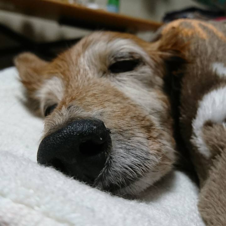 530bdfc6 ce55 46ee 910d 97030b344584 1519318625297