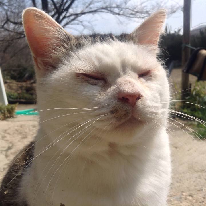 530c0124 dd5e 463c ad2a 5b41d4782837 1520747030203