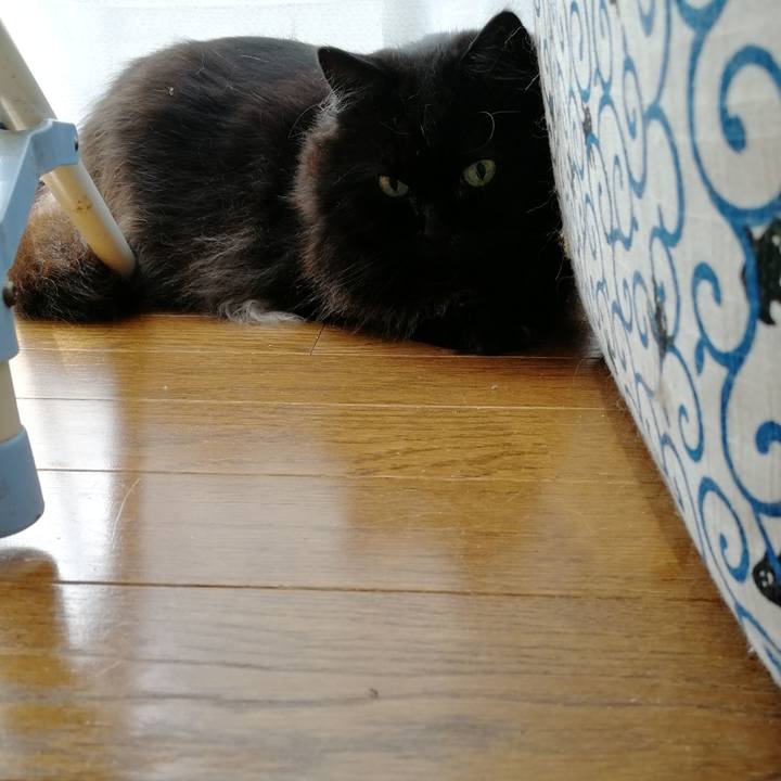 530c6046 d5ba 4755 b160 26253940ff92 1537670977412