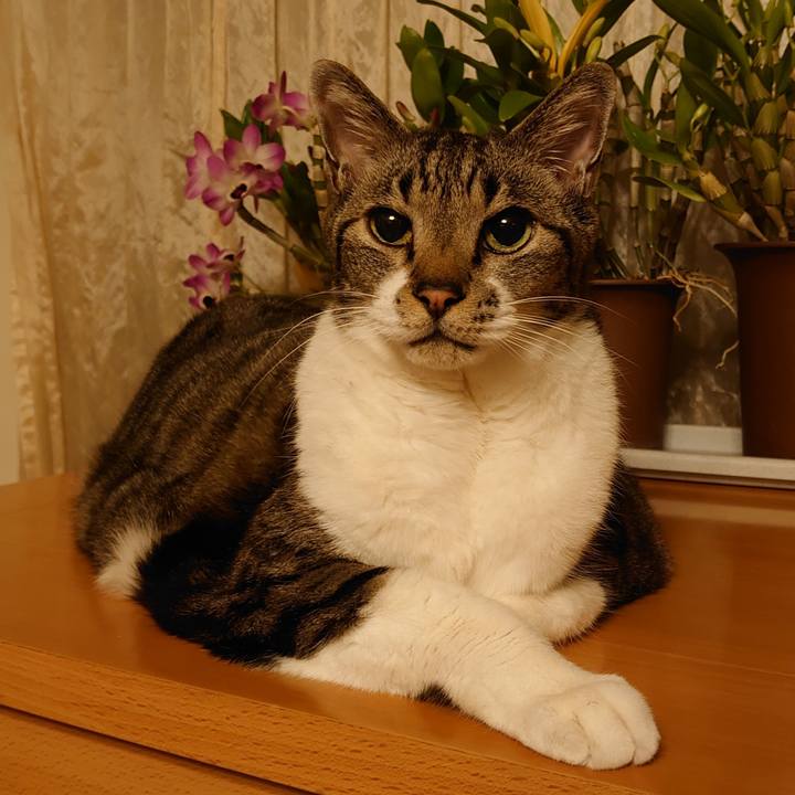 530c7e8c 90b8 4c2f 85b9 83ec893e6c25 1705154847600