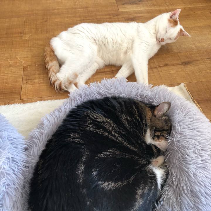 530c87b2 fff1 4138 a354 836342d3e8cf 1702164335893