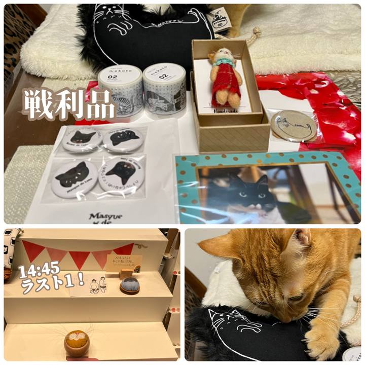 530c9df8 3d30 48ef b842 6997ec006ca2 1636278695022