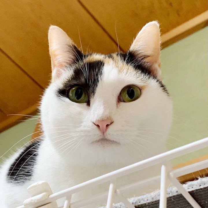 530caf63 0bd9 4e0d 9a56 733ff7fdb957 1548727803843