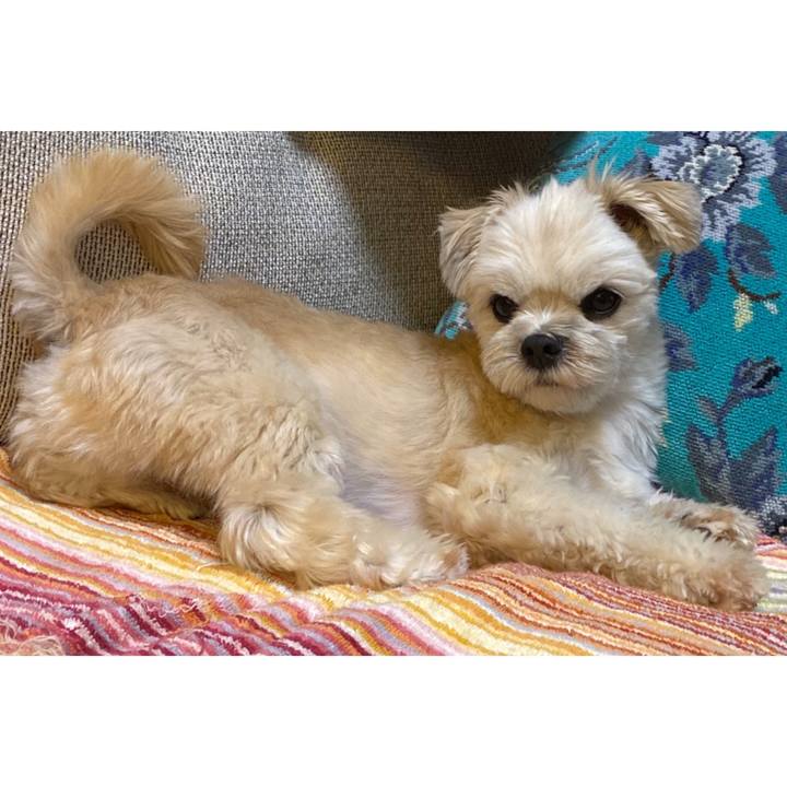 530cf6c9 a512 47e6 9154 1f2020def936 1572871012759