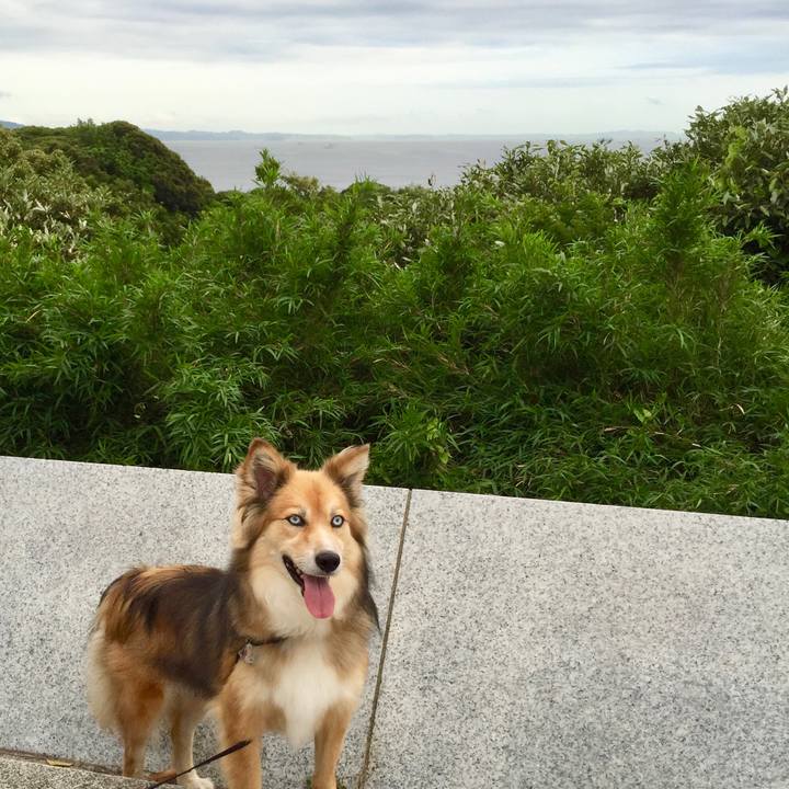 530d0456 63dc 4db9 9dd9 90e4a5f6e1b2 1548064489235