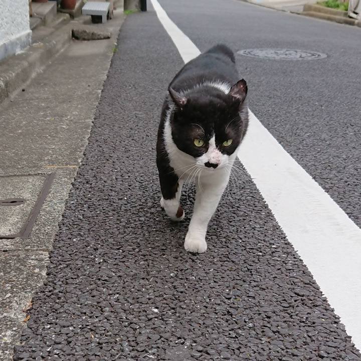 530d0e99 82db 4783 be8d 62e209f0e55a 1534404951196