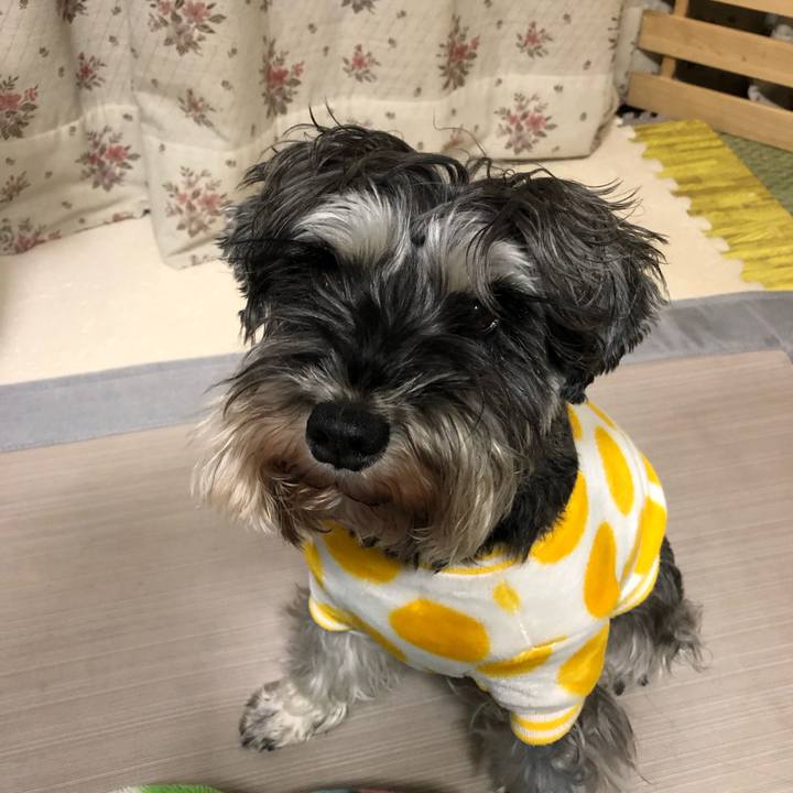 530d1c64 7985 4412 a4eb 565c8e284d56 1612970697178