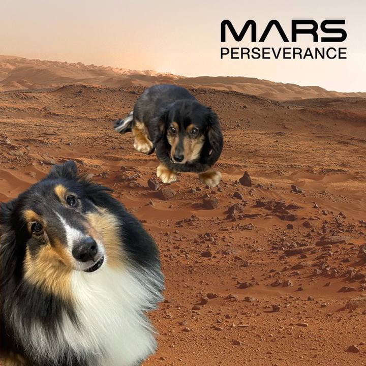 530d5a28 26c2 450f 9a42 31445038d449 1614345744338