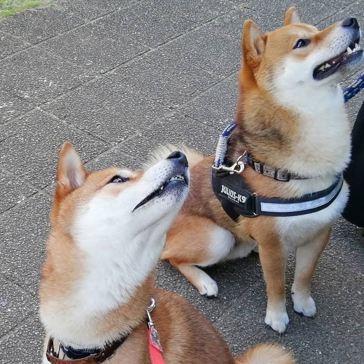 530d5b67 6585 41a4 b608 466580aed59c 1592370629980