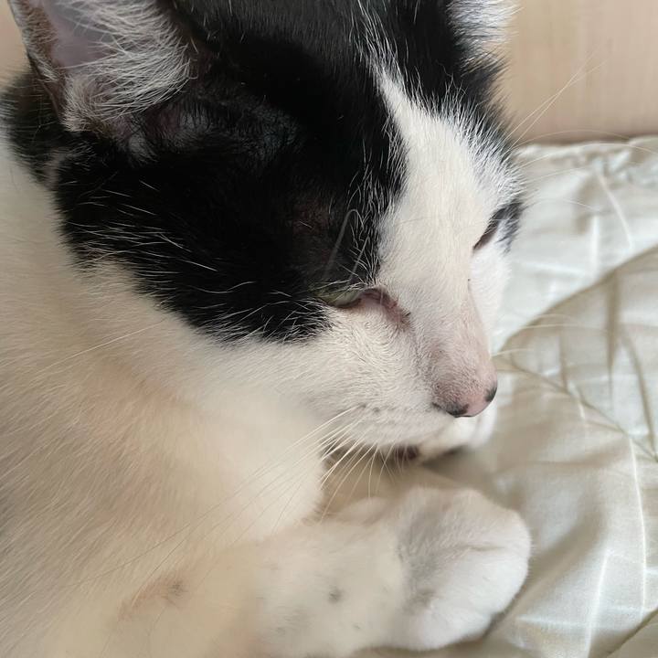 530d7d0e e019 46ec a3dc 482dbe2e0beb 1656050149651