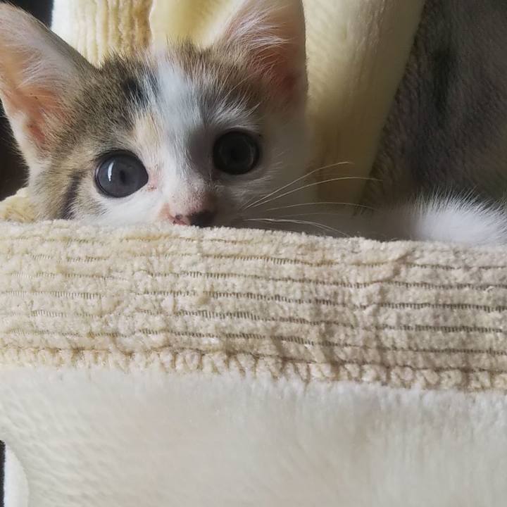 530e1212 738f 4042 a704 44f2a7891b23 1633568772920