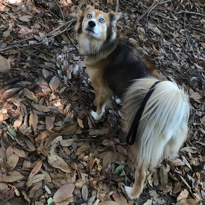 530e2865 c4a3 4059 ace5 36352b8badb5 1542242434311