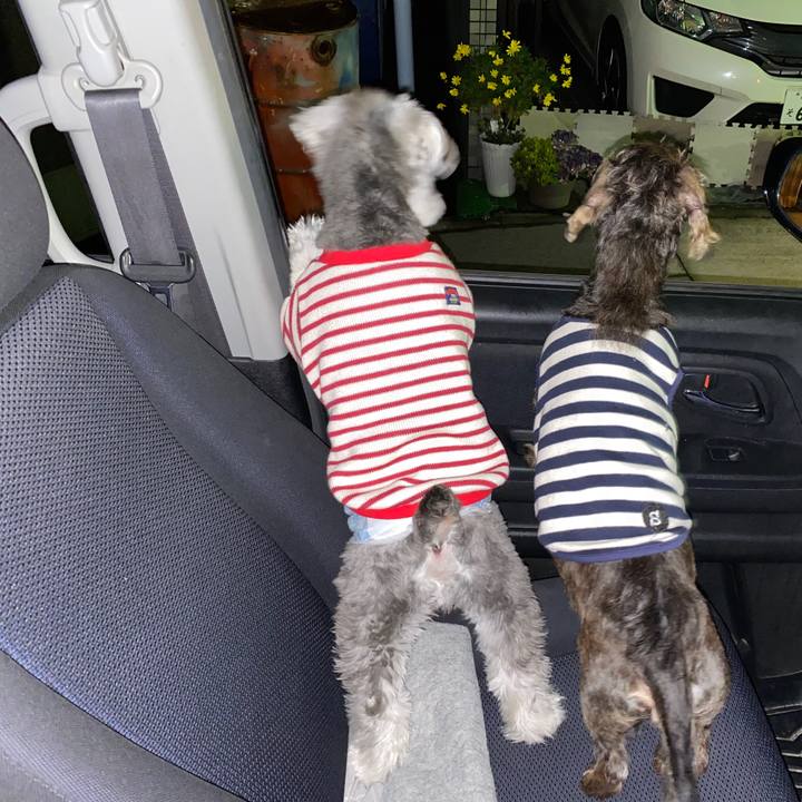 530e2f49 8512 4630 8f30 6cb771e1216d 1577710480834