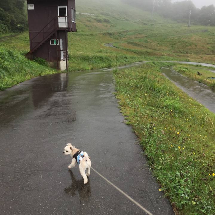 530e3de3 556c 4457 8f8b 97a9edf85e71 1535764062429